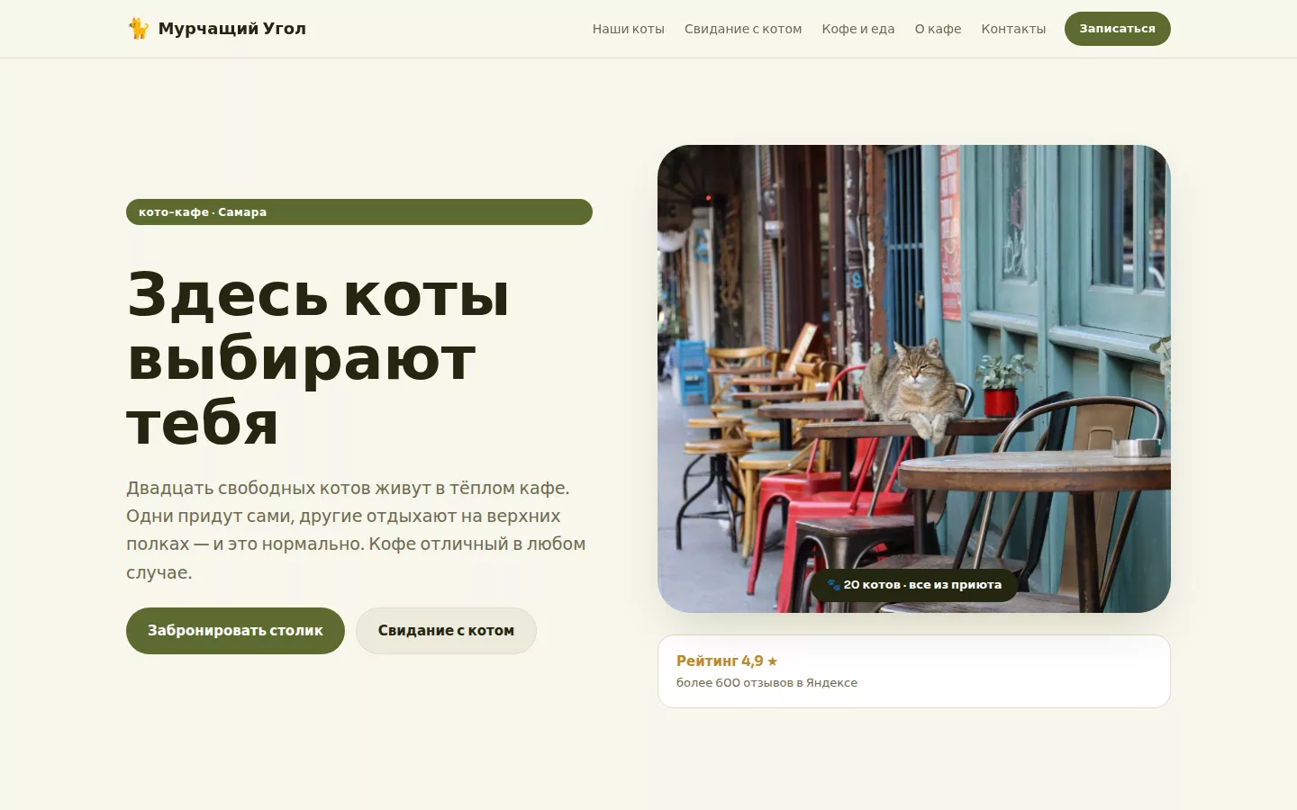 Мурчащий Угол — кошачье кафе в Самаре