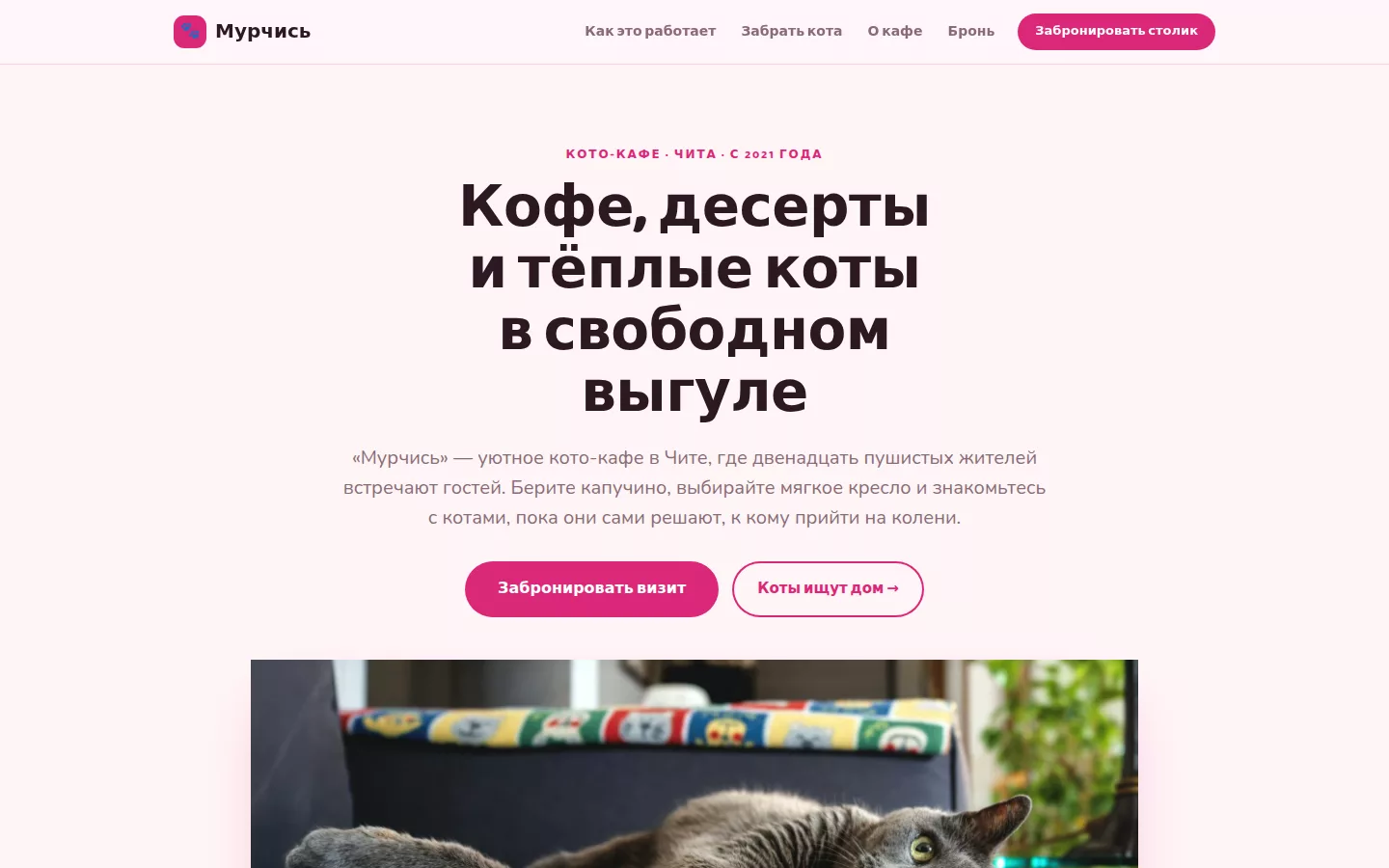 Мурчись — кото-кафе в Чите