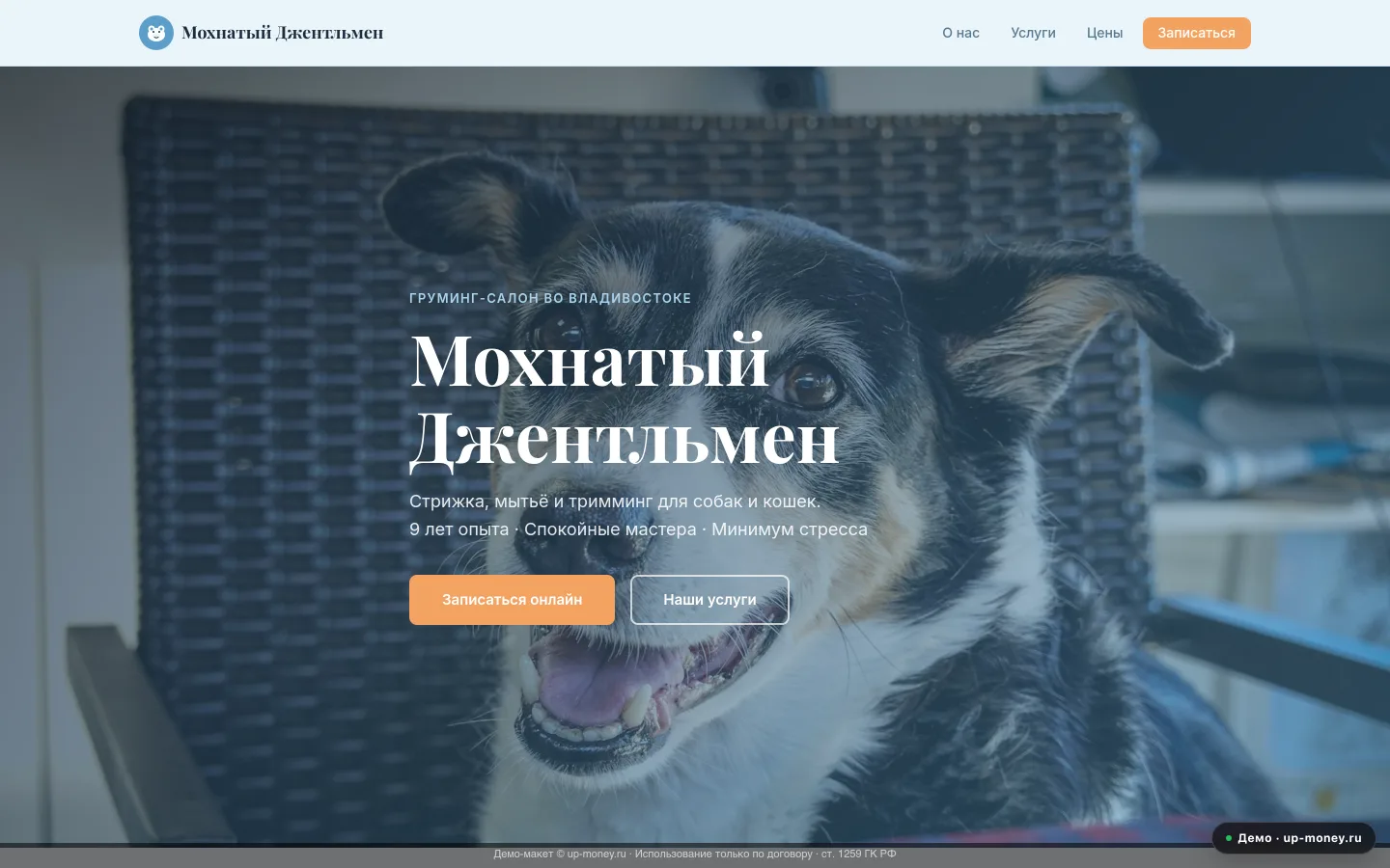 Мохнатый Джентльмен