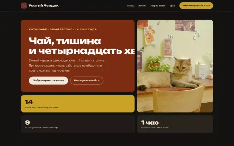 Усатый Чердак — кото-кафе в Симферополе